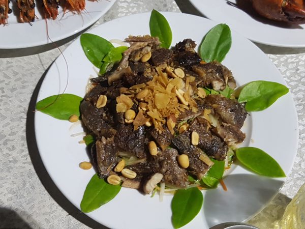 Cá thòi lòi Vàm Sát